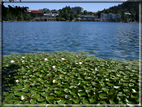 foto Lago di Bled